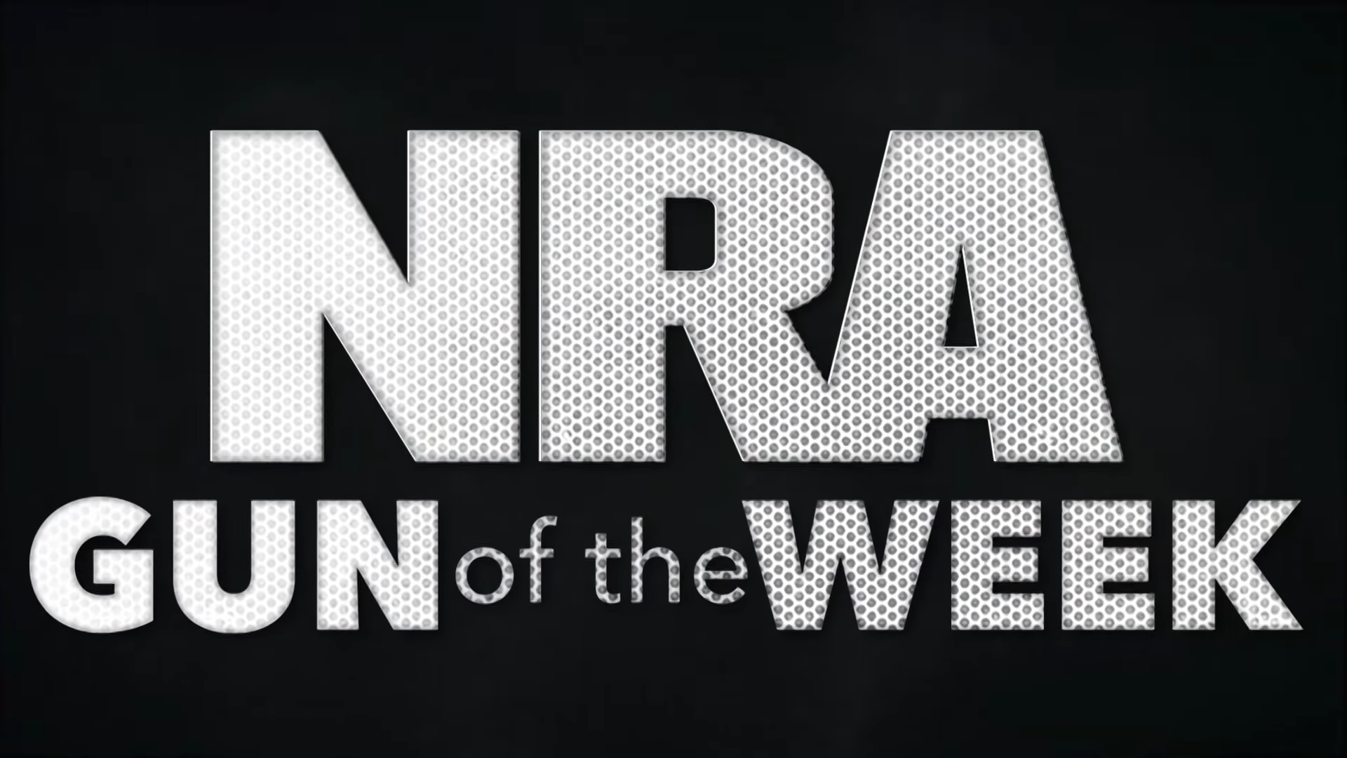 NRA Gun of the Week: Ruger AR-556 Rifle